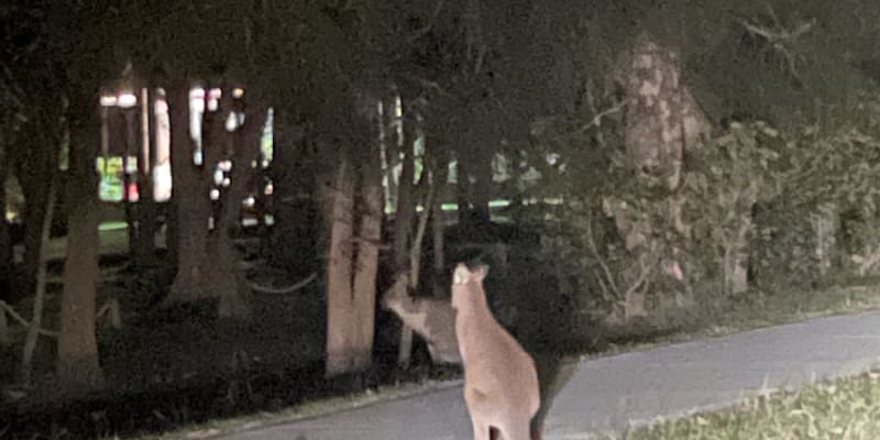 Photo by Robyn Shannara Bryson