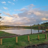 Photo by Mariella G.