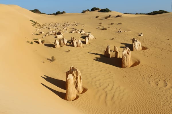 Photo by Off The Trax