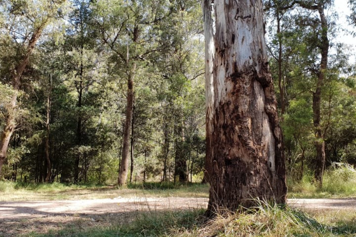 Photo by Renee Lea Jean