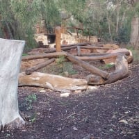 Photo by Nickolas S.