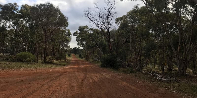 Photo by Christine B.