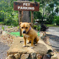 Photo by Jane and Shane