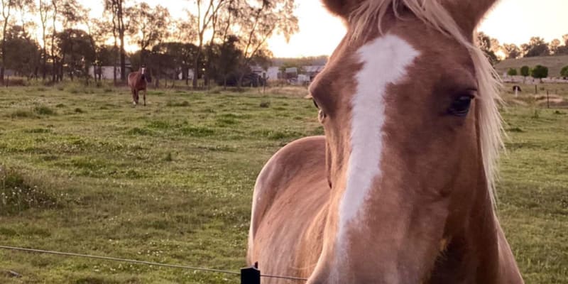 Photo by Barry and Di O'Connor