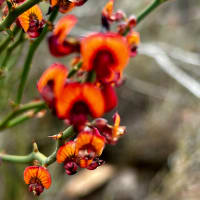 Photo by Chelsea and Jye