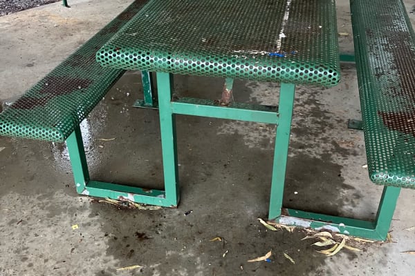 Photo by TassieTraveller