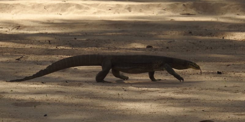 Photo by Rick N Hazel Butler