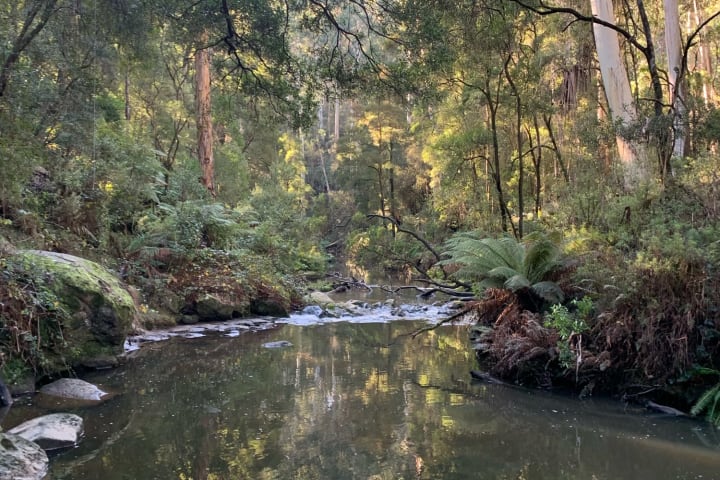 Photo by Brooklyn E.