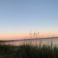 Photo by Catarina A.