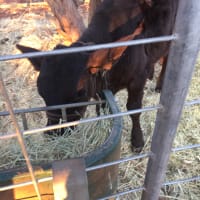 Photo by Kim & Shane