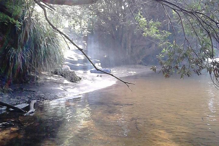 Photo by Tracy N David Ross