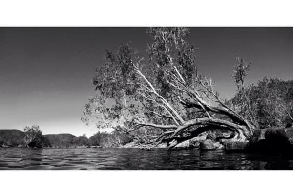 Photo by Follow The Adventures