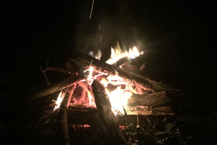 Photo by Miss Tortie Markham