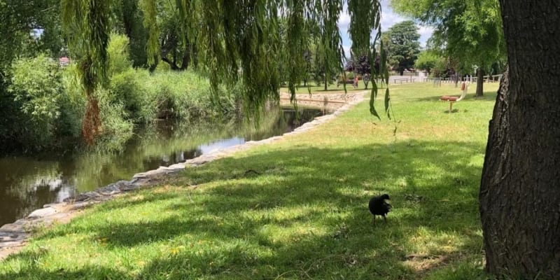 Photo by Brucethegoose