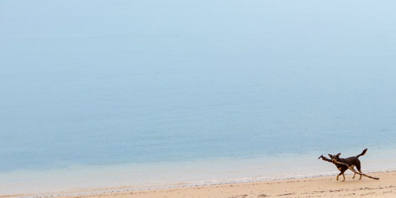 Photo by Guest.Relations