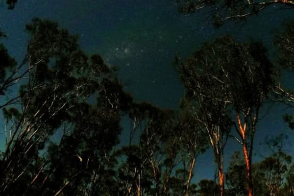 Photo by NightRanger D.