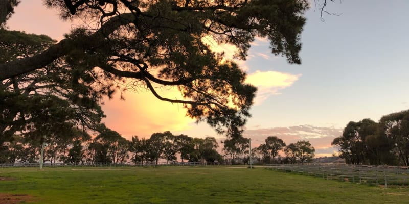 Photo by Brucethegoose