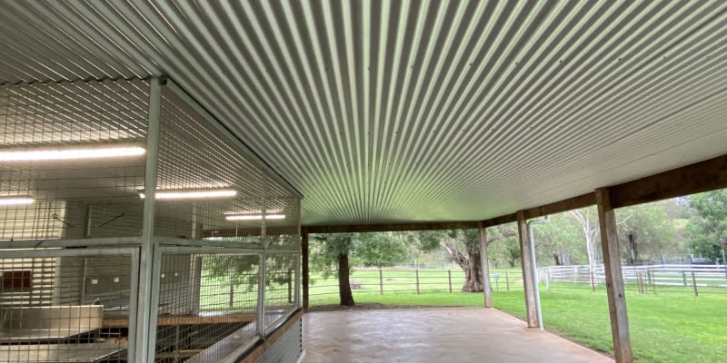 Photo by Gundy Crown Reserves Land Manager