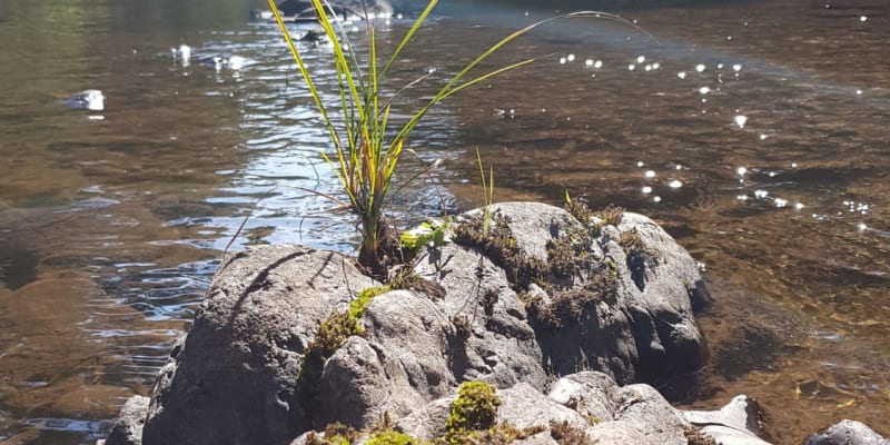 Photo by Laurence Van Burck