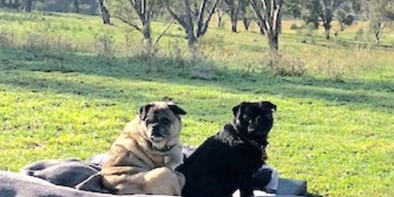 Photo by Sally E NAGEL