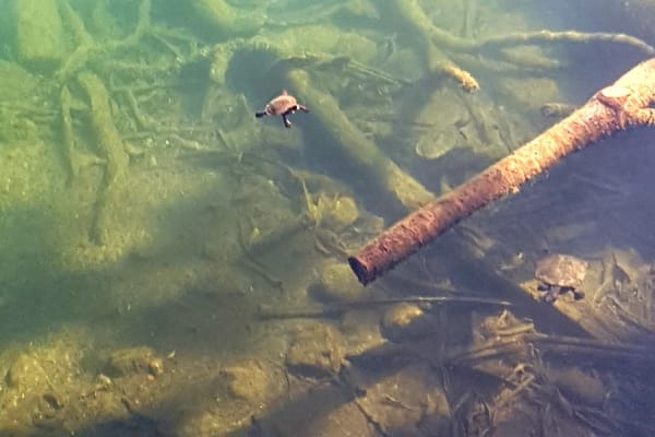 Photo by My Rig Adventures