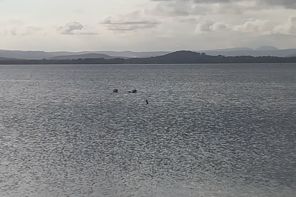 Photo by Colin van den Hoff