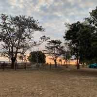 Photo by Corporate to Caravan