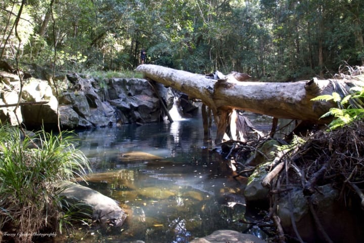 Photo by Peter van Lieshout