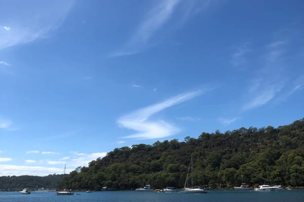 Photo by _haere.ki.waho_