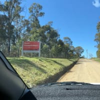 Photo by Gene Catalan Ashling