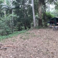 Photo by Nickelle H.