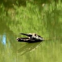 Photo by My Rig Adventures