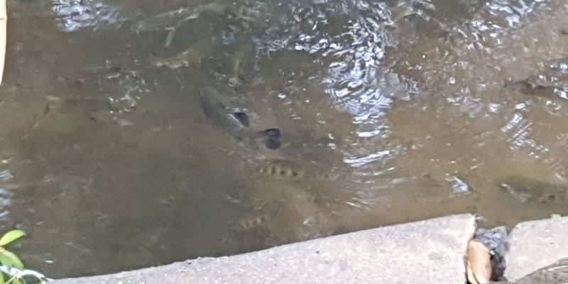 Photo by nq adventure junkie