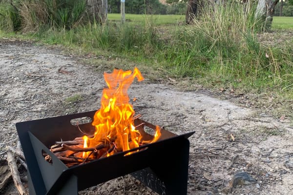 Photo by Michelle H.