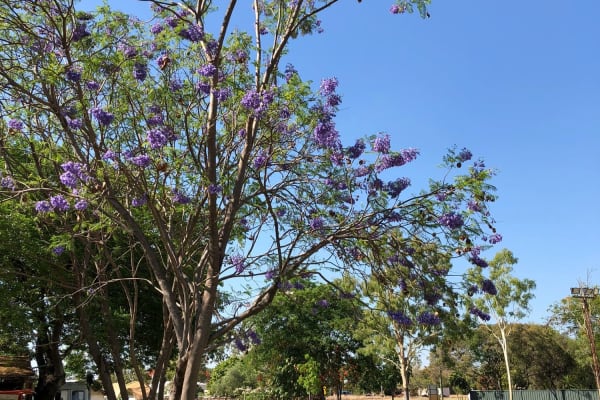 Photo by Marcia Christine Baker