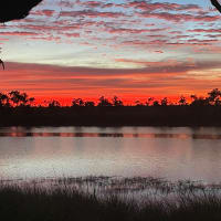 Photo by Petrice  Kotua