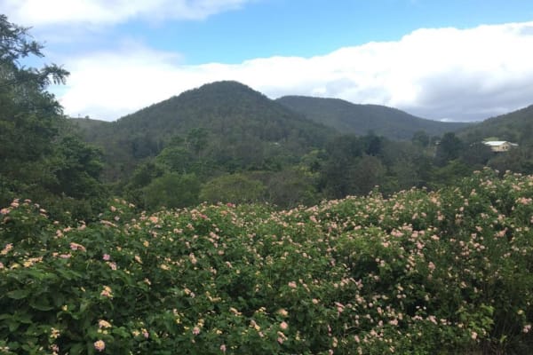 Photo by Madeleine K.