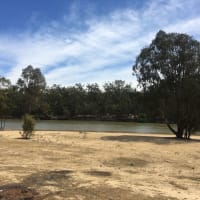 Photo by Lisa Brown White