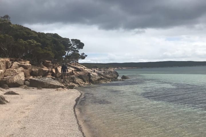 Photo by Michelle C.