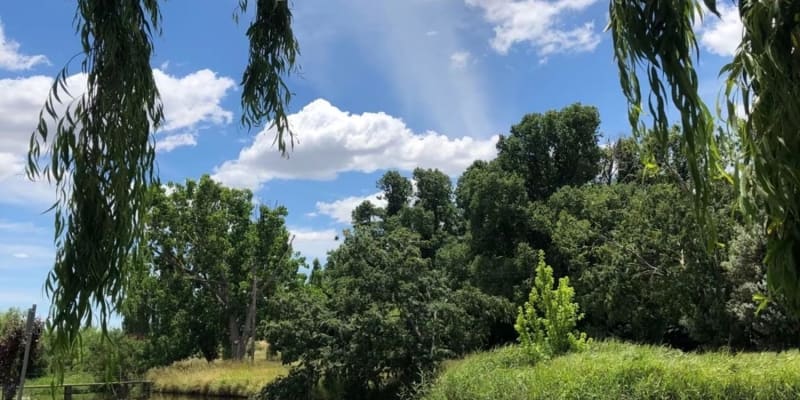 Photo by Brucethegoose