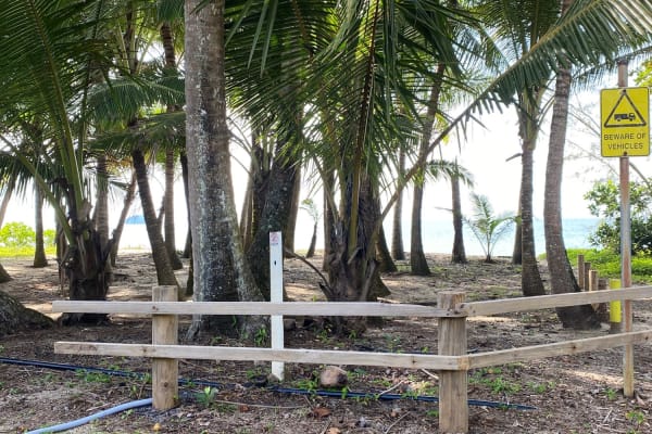 Photo by Patricia R.