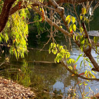 Photo by Corporate to Caravan