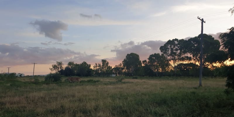 Photo by Michelle P.