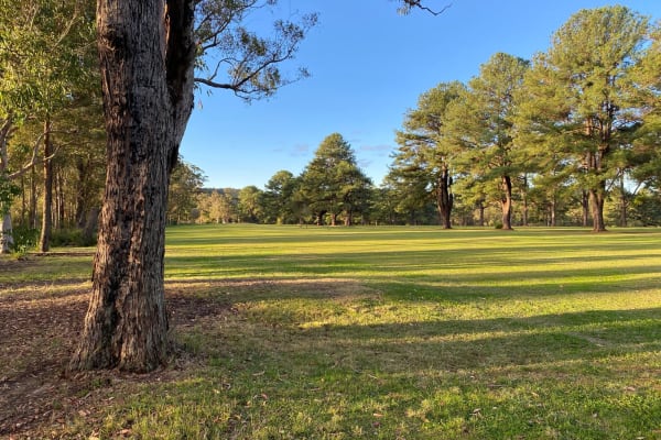 Photo by Michelle H.