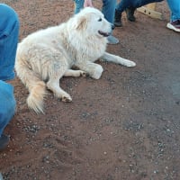 Photo by NightRanger D.