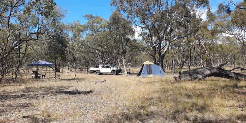Photograph of Top 10 free campsites near St Helens Plains, VIC