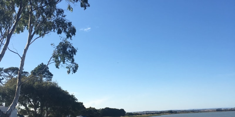 Photo by YoungAdventuresAust