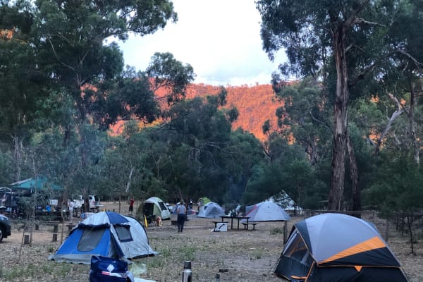 Photo by Carin & Edwin