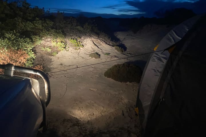 Photo by Elisabeth D.