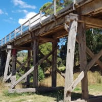 Photo by Olivia Bataligin Averkin